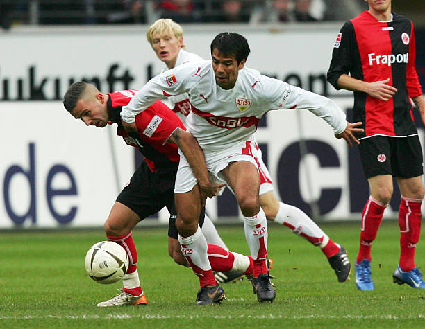 的经验有望 的经验有望