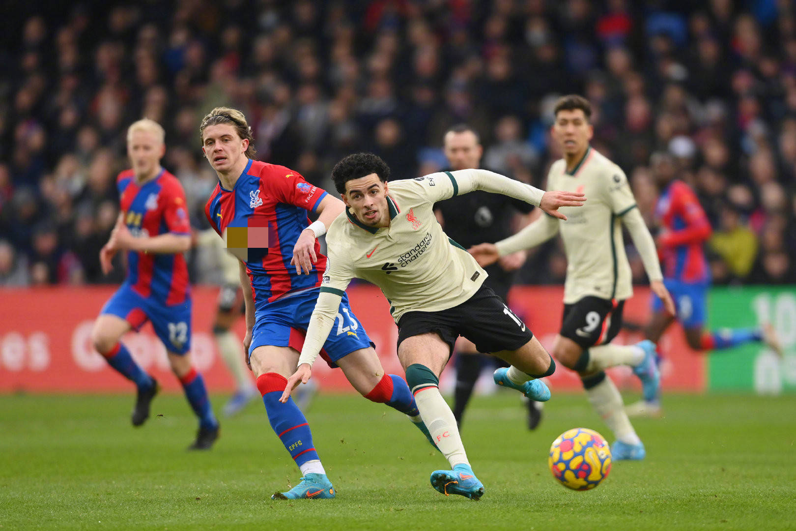 仅展示了巴 仅展示了巴